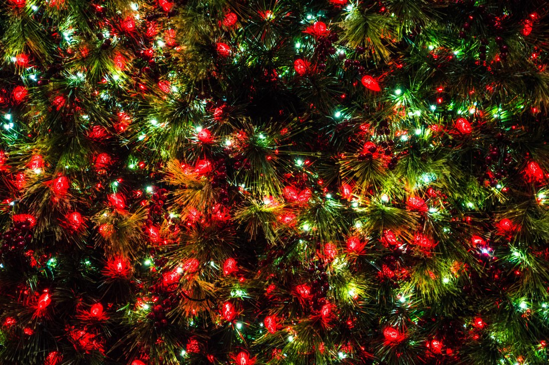 Holiday Tree Lights by Carol Harrison