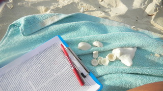 Photo of proof pages on a clipboard with a red pen for marking. Both items on a turquoise beach towel, along with small seashells. White sand in background.