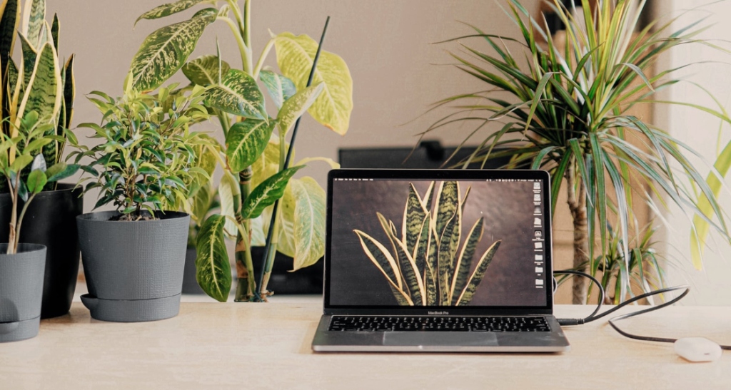 Photo of a laptop sitting on a desk, surrounded by plants.