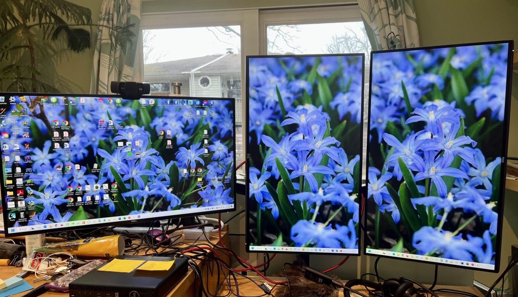 Three computer monitors with pictures of flowers.
