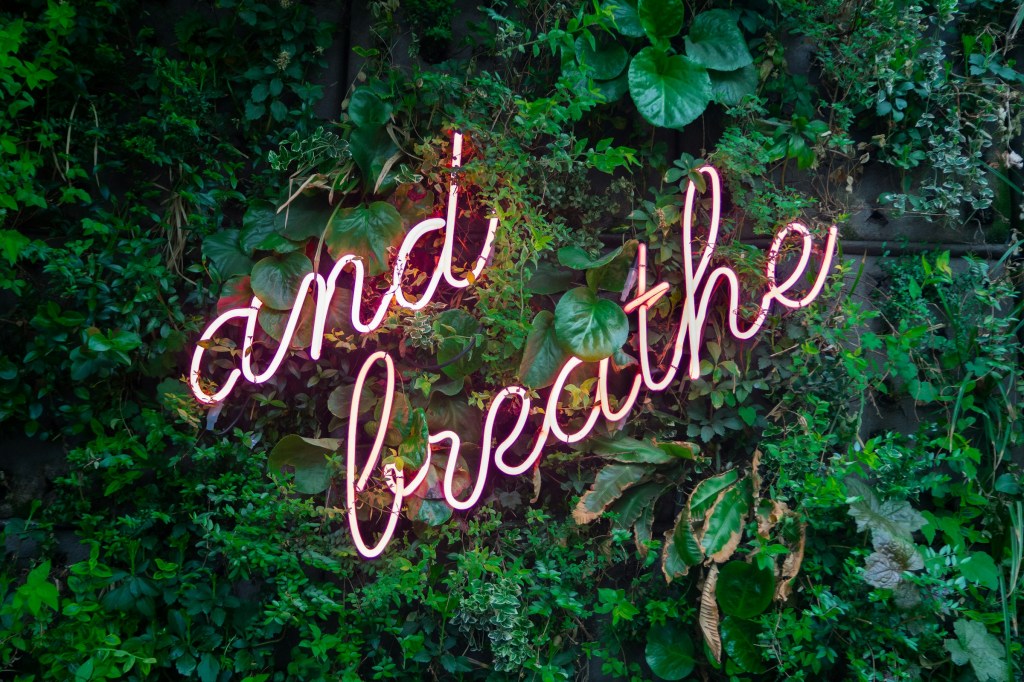 Neon lights spelling "and breathe" on a background of green foliage.