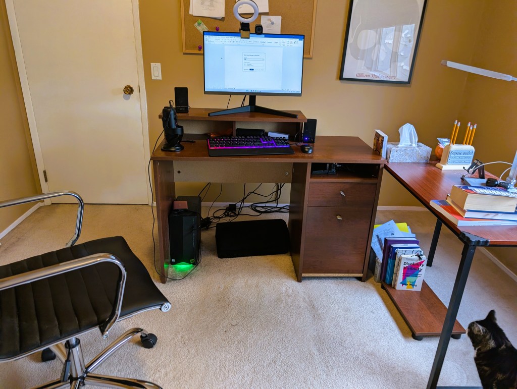 Home office with desk, computer, books, and a cat.